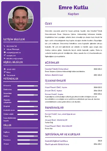 cv indir